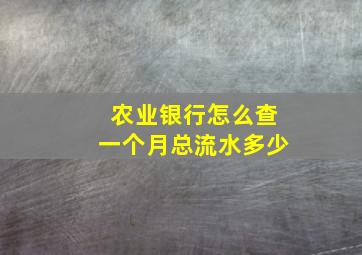 农业银行怎么查一个月总流水多少