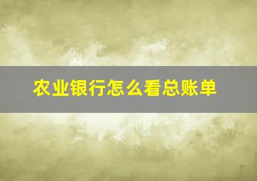 农业银行怎么看总账单