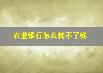 农业银行怎么转不了钱