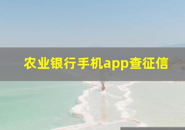 农业银行手机app查征信