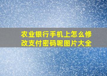 农业银行手机上怎么修改支付密码呢图片大全