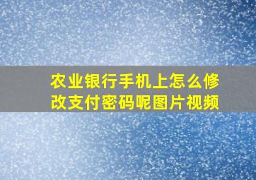 农业银行手机上怎么修改支付密码呢图片视频