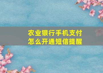 农业银行手机支付怎么开通短信提醒