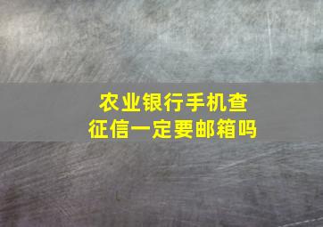 农业银行手机查征信一定要邮箱吗