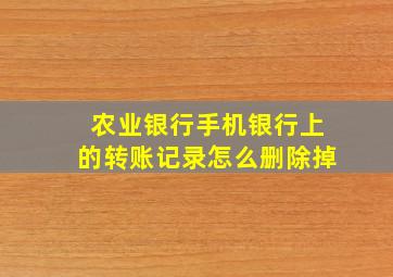 农业银行手机银行上的转账记录怎么删除掉