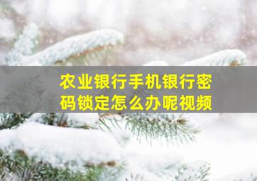 农业银行手机银行密码锁定怎么办呢视频