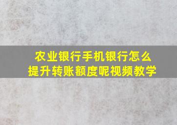 农业银行手机银行怎么提升转账额度呢视频教学