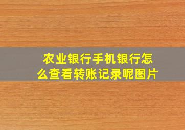 农业银行手机银行怎么查看转账记录呢图片