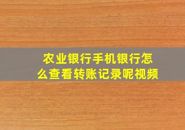 农业银行手机银行怎么查看转账记录呢视频