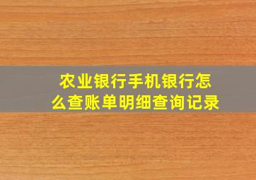 农业银行手机银行怎么查账单明细查询记录