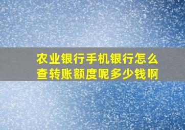 农业银行手机银行怎么查转账额度呢多少钱啊