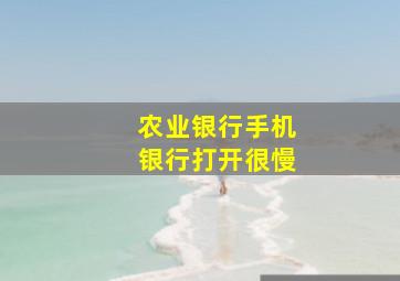 农业银行手机银行打开很慢