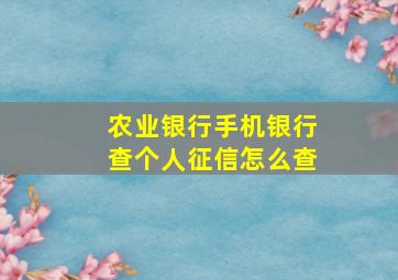 农业银行手机银行查个人征信怎么查