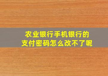 农业银行手机银行的支付密码怎么改不了呢