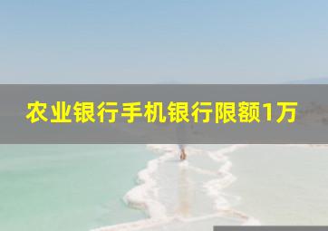 农业银行手机银行限额1万