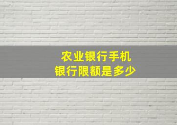 农业银行手机银行限额是多少