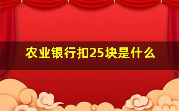 农业银行扣25块是什么