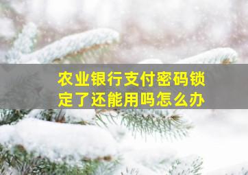 农业银行支付密码锁定了还能用吗怎么办