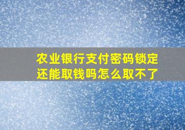 农业银行支付密码锁定还能取钱吗怎么取不了