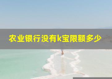 农业银行没有k宝限额多少