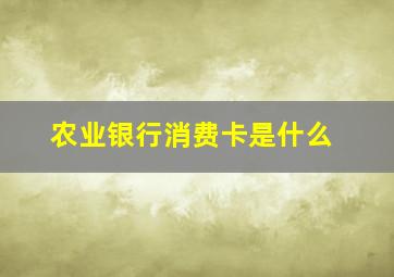 农业银行消费卡是什么