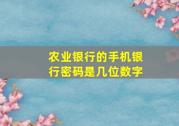 农业银行的手机银行密码是几位数字