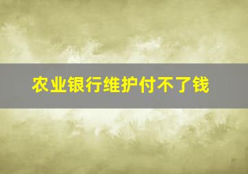 农业银行维护付不了钱