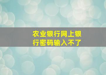 农业银行网上银行密码输入不了