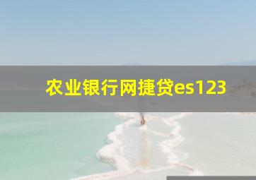 农业银行网捷贷es123