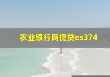 农业银行网捷贷es374