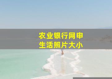 农业银行网申生活照片大小