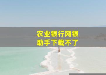 农业银行网银助手下载不了