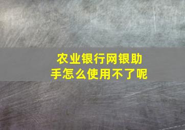 农业银行网银助手怎么使用不了呢