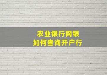 农业银行网银如何查询开户行