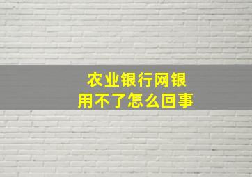 农业银行网银用不了怎么回事