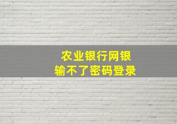 农业银行网银输不了密码登录