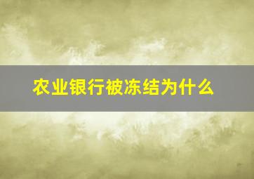 农业银行被冻结为什么