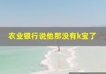 农业银行说他那没有k宝了