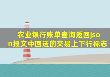 农业银行账单查询返回json报文中回送的交易上下行标志