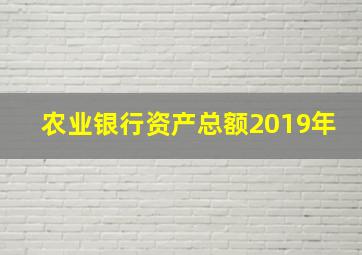 农业银行资产总额2019年