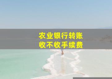 农业银行转账收不收手续费