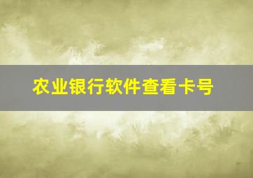 农业银行软件查看卡号