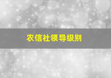 农信社领导级别