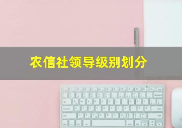 农信社领导级别划分