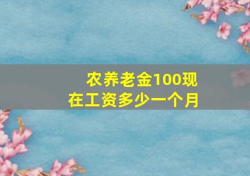 农养老金100现在工资多少一个月