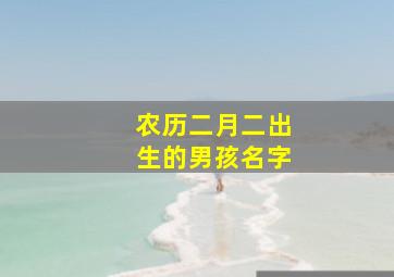 农历二月二出生的男孩名字