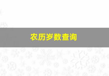 农历岁数查询