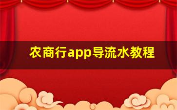 农商行app导流水教程