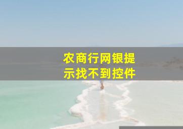 农商行网银提示找不到控件