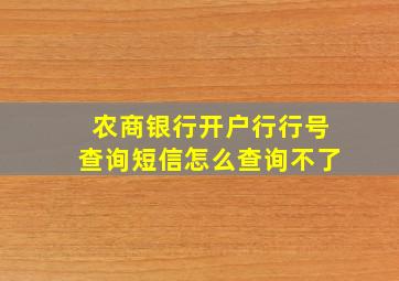 农商银行开户行行号查询短信怎么查询不了